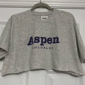 Brandy Melville cropped aspen top